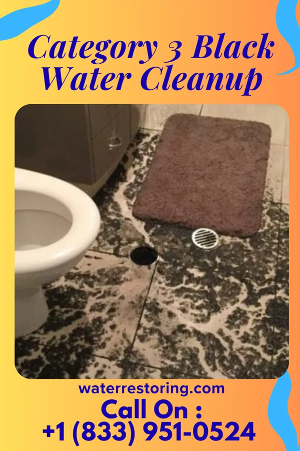 Category 3 Black Water Cleanup in Griffith, IN