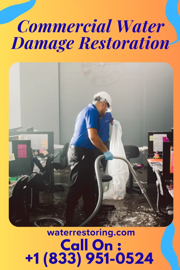 Commercial Water Damage Restoration in Griffith, IN