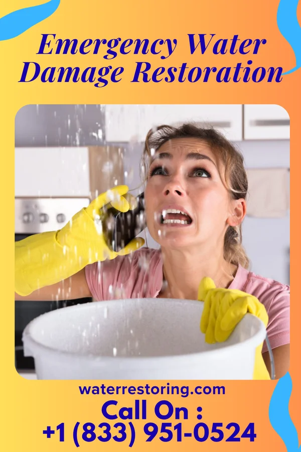 Emergency Water Damage Restoration in Griffith, IN