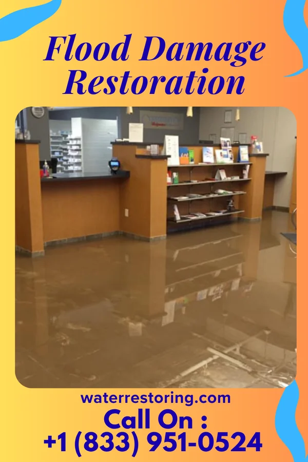 Flood Damage Restoration in Griffith, IN