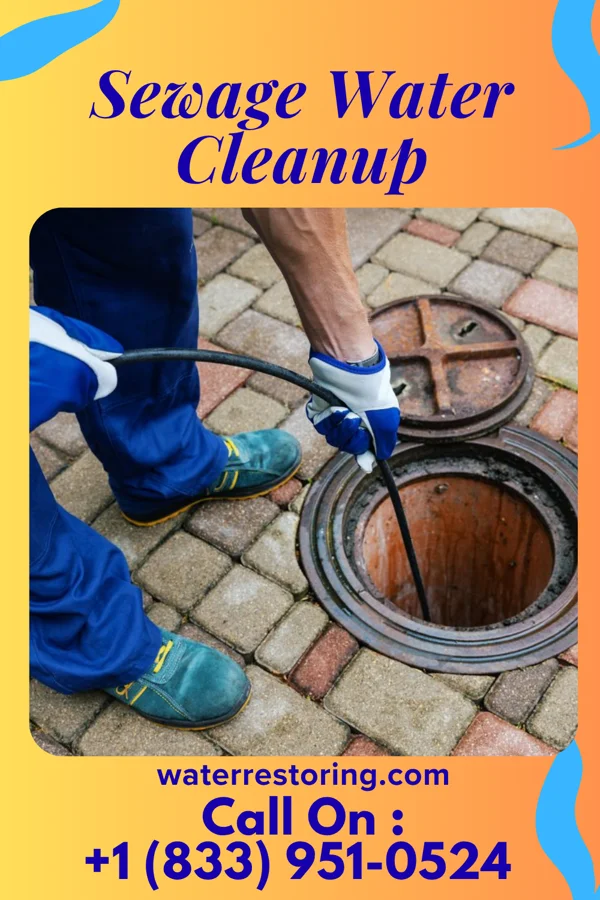 Sewage Water Cleanup in Griffith, IN